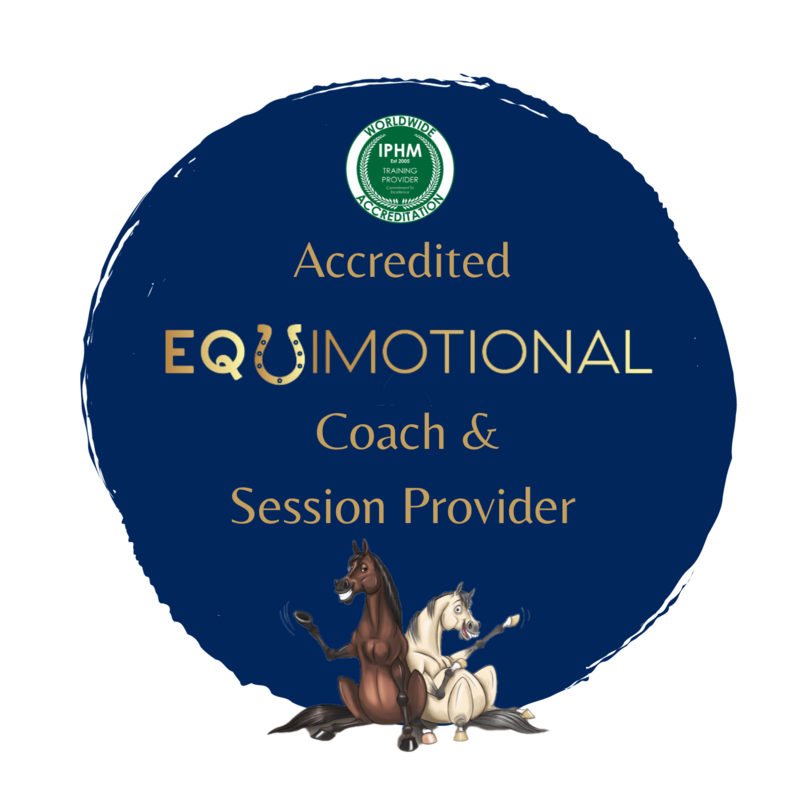 Equimorional Coach & Session Provider 