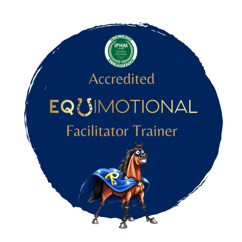 Equimotional Facilitator Trainer 